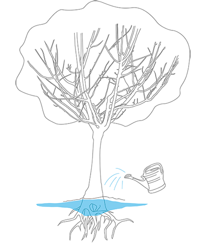 Illustration eines Premium Bewässerungssacks und Baumsacks von Planex in höchster Qualität made in Germany.