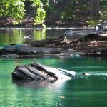 Nationale Wasserstrategie: Forschungsprojekt zur Flussreinigung von Planex